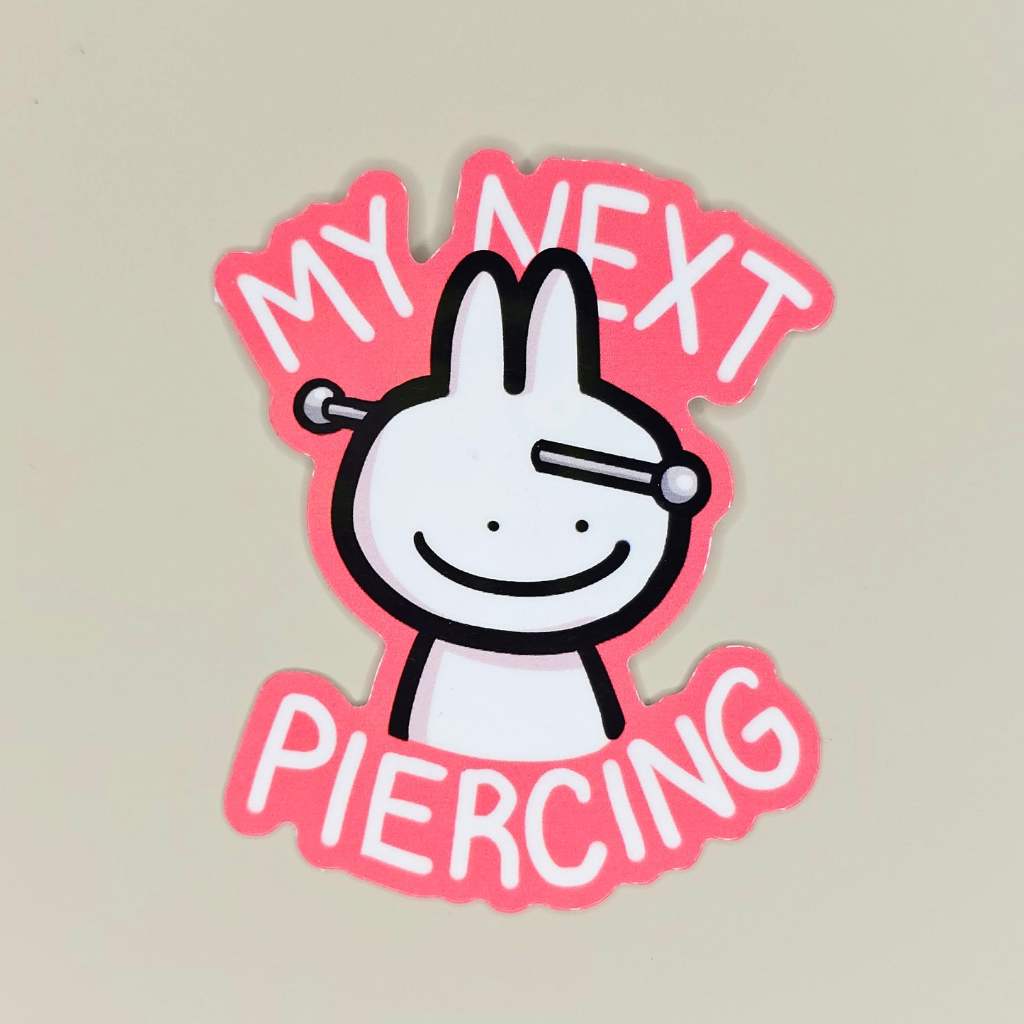 My Next Piercing / Tattoo