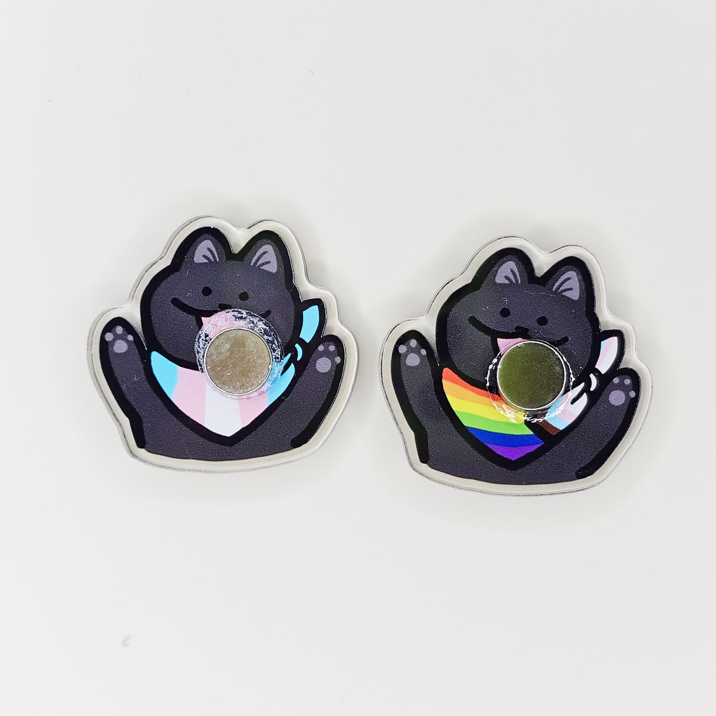 Pride Cat Acrylic Magnets