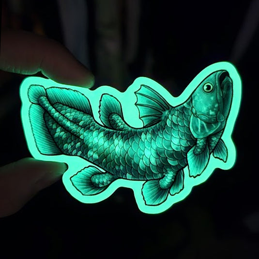 Glow in the Dark Coelacanth