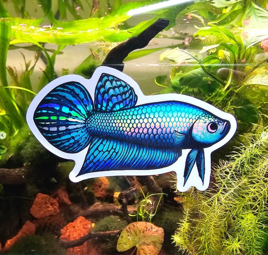 Holographic Alien Betta