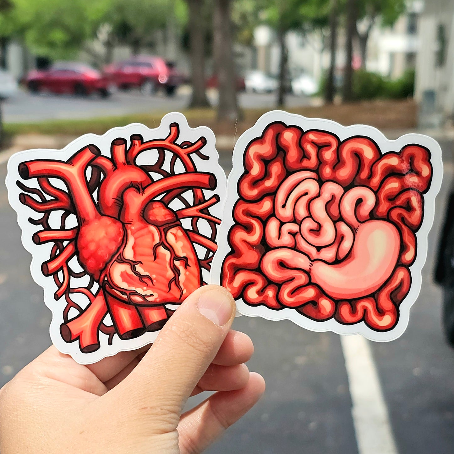 Clear Organ Stickers