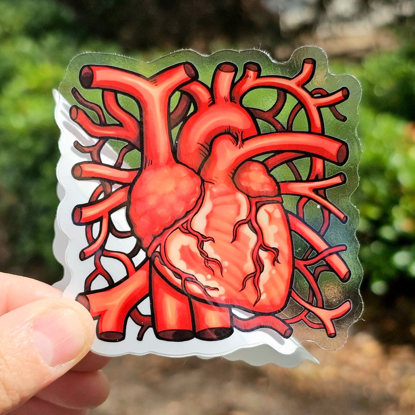 Clear Organ Stickers