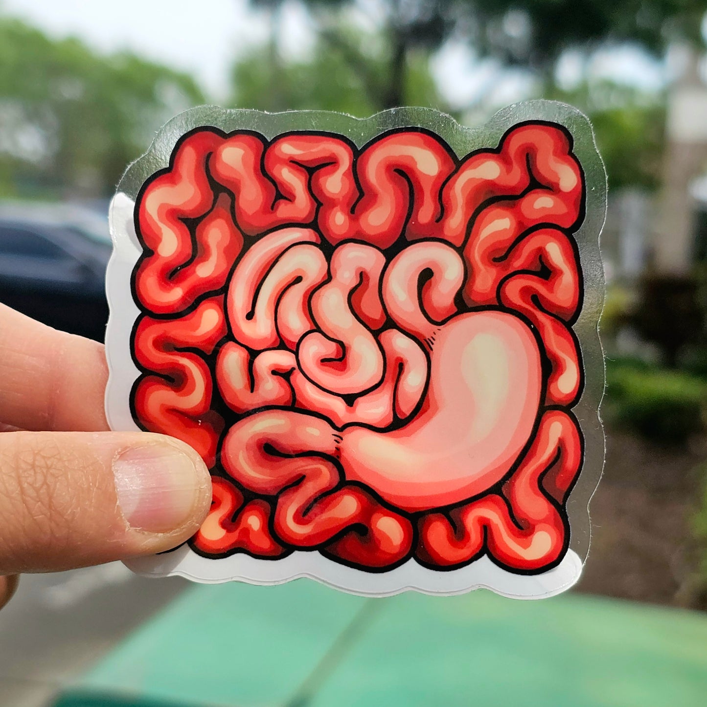 Clear Organ Stickers
