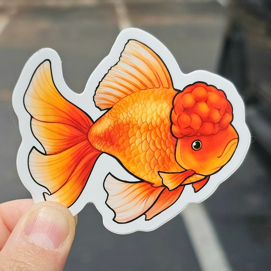 Oranda Goldfish Sticker