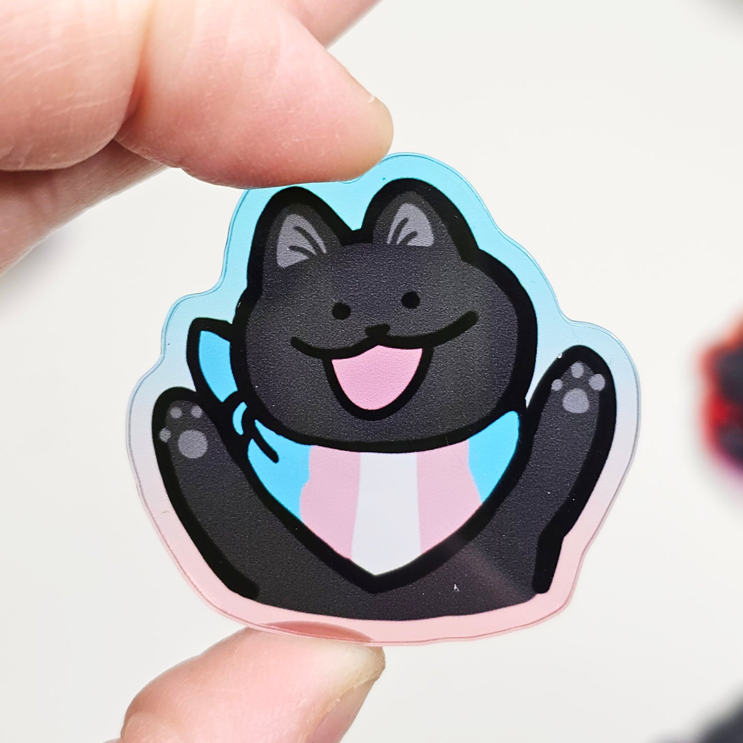 Pride Cat Acrylic Pins