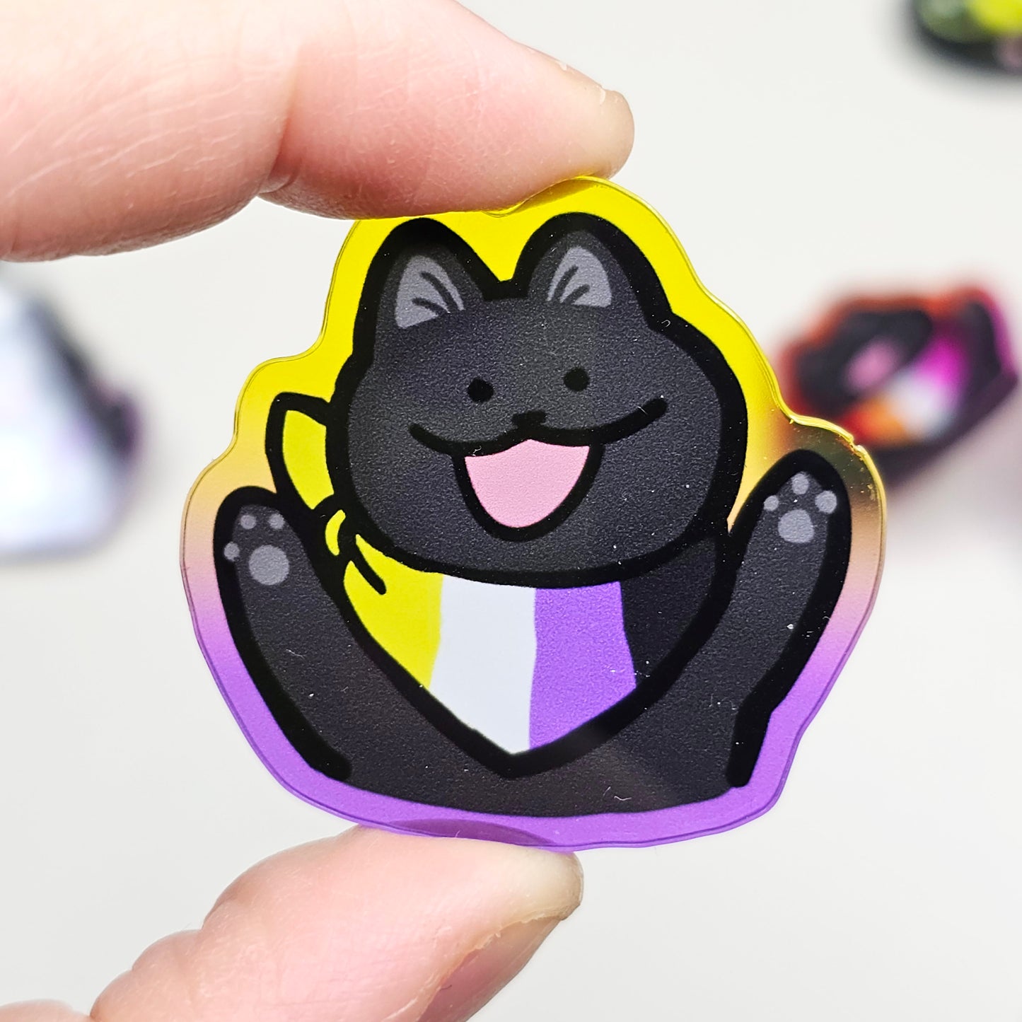 Pride Cat Acrylic Pins