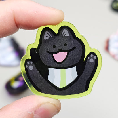 Pride Cat Acrylic Pins