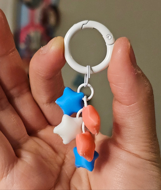 Pride Star Charm Keychains