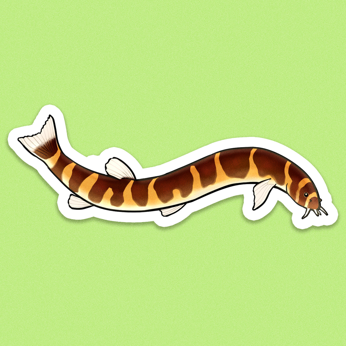 Kuhli Loach Sticker