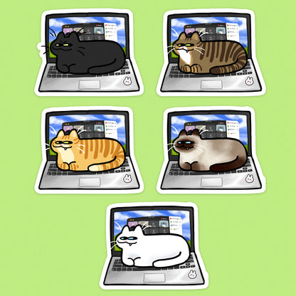 Laptop Cats
