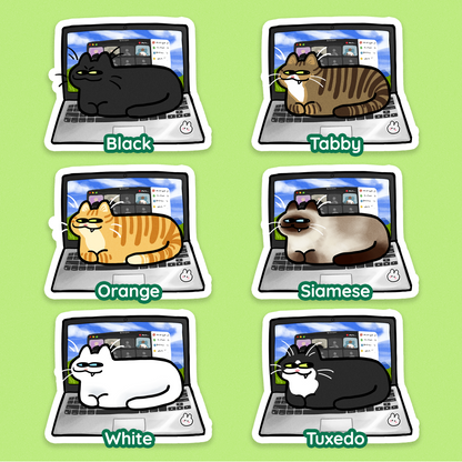 Laptop Cats