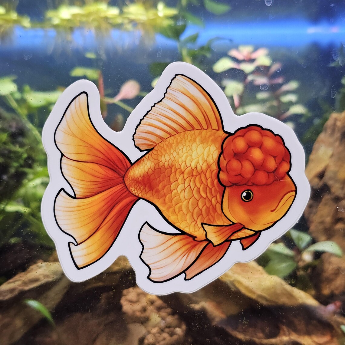 Oranda Goldfish – LeafJellyArts