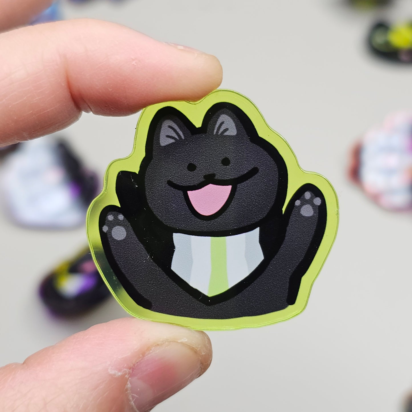 Pride Cat Acrylic Pins