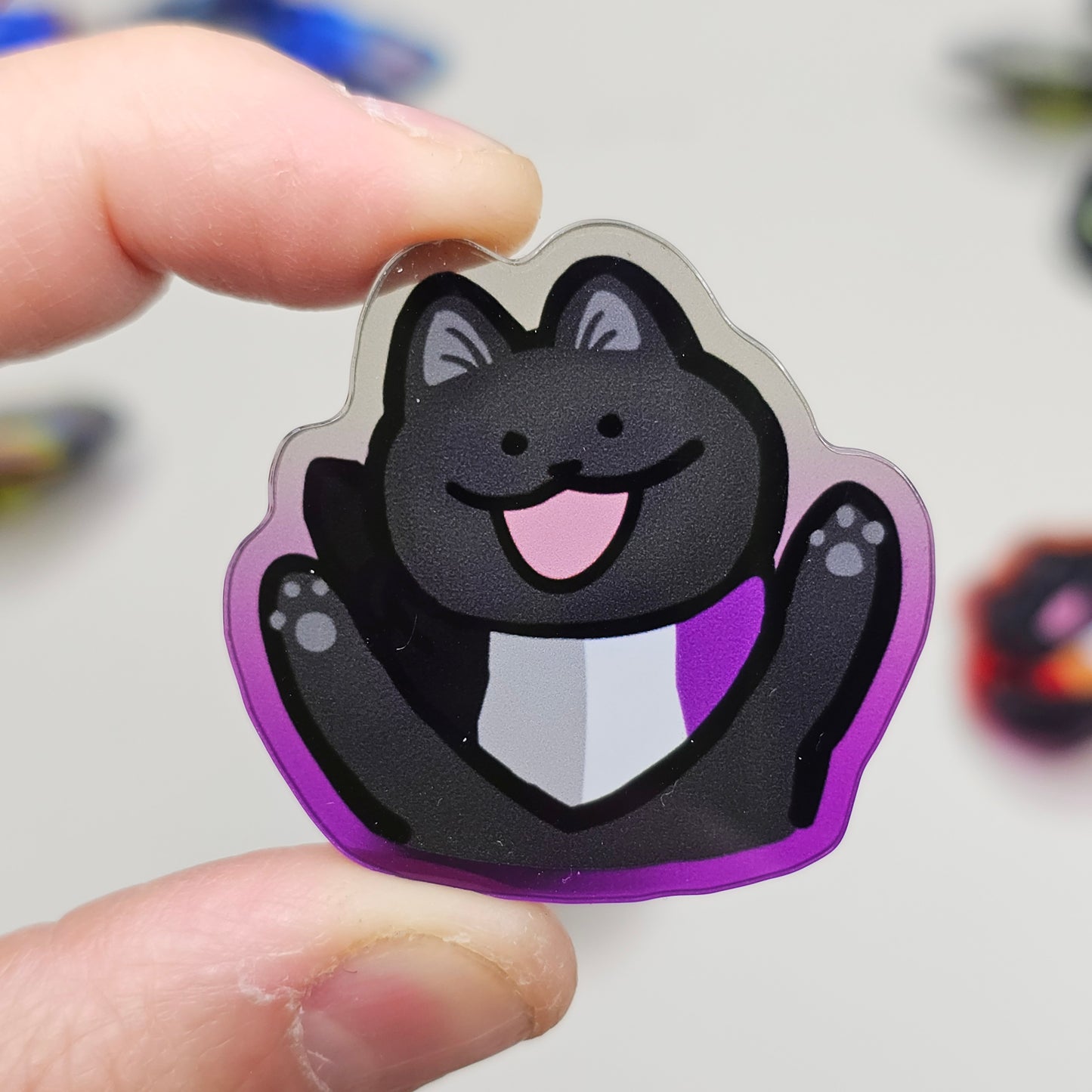 Pride Cat Acrylic Pins