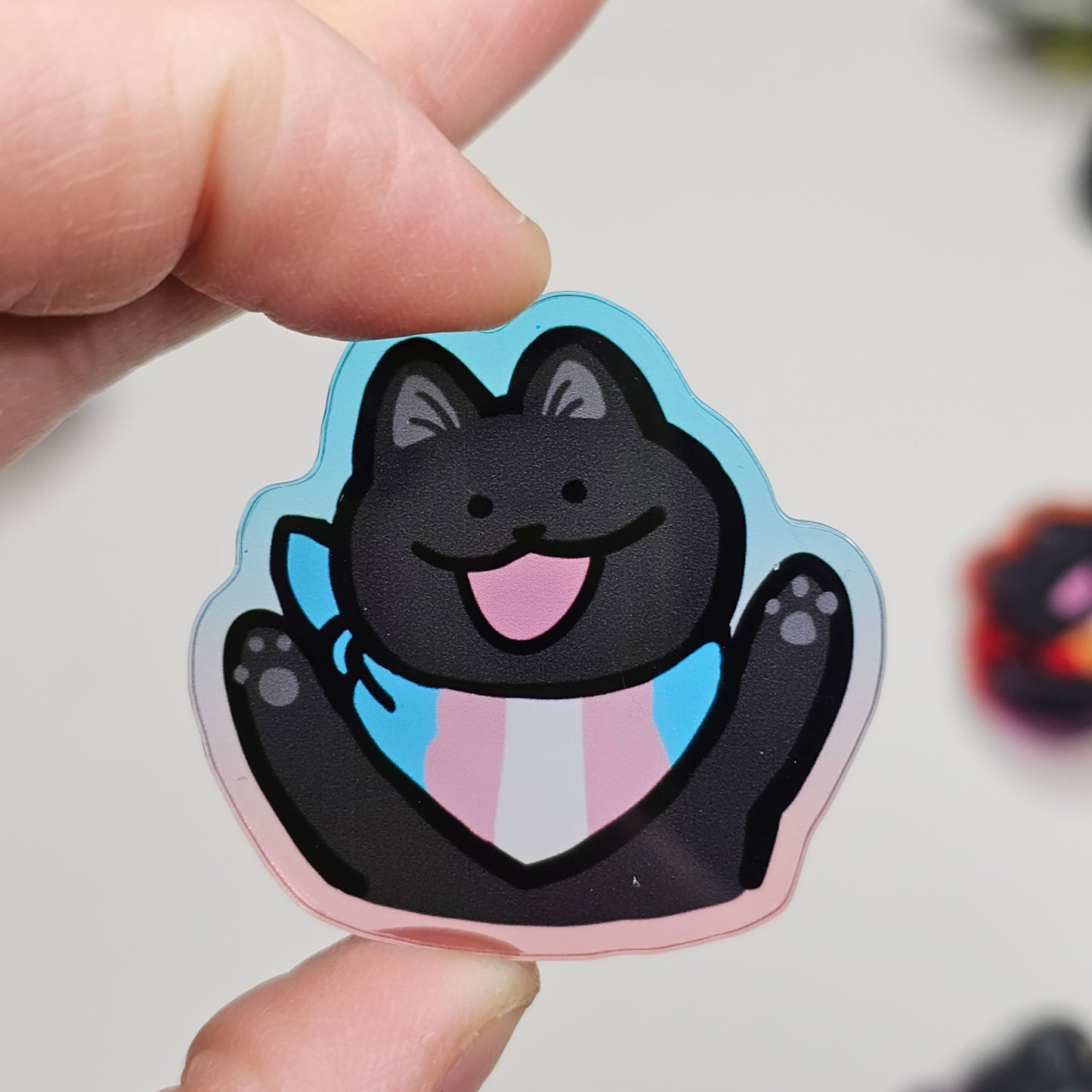 Pride Cat Acrylic Pins